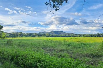 Land for sale in Mae Pong, Chiang Mai