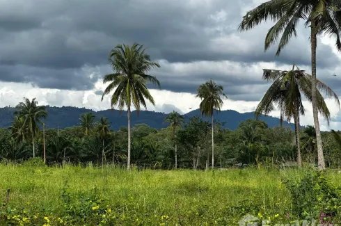 Land for sale in Thung Maphrao, Phang Nga