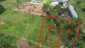 Land for sale in Thung Maphrao, Phang Nga