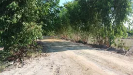 Land for sale in Nong Rawiang, Nakhon Ratchasima