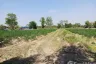 Land for sale in Nong Rawiang, Nakhon Ratchasima