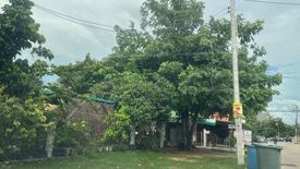 Land for sale in Nong Prue, Chonburi