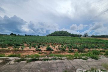 Land for sale in Huai Yai, Chonburi