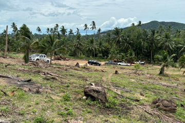 Land for sale in Mae Nam, Surat Thani