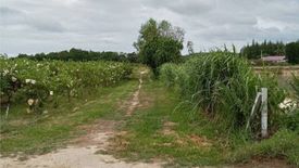 Land for sale in Ban Kha, Ratchaburi