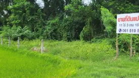 Land for sale in Wang Taku, Nakhon Pathom