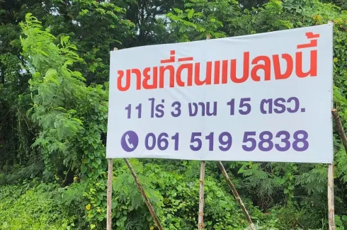 Land for sale in Wang Taku, Nakhon Pathom