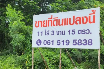 Land for sale in Wang Taku, Nakhon Pathom