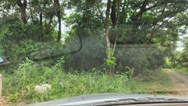 Land for sale in Wang Taku, Nakhon Pathom