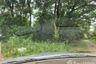 Land for sale in Wang Taku, Nakhon Pathom
