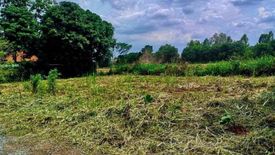 Land for sale in Nong Chabok, Nakhon Ratchasima