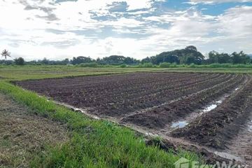 Land for sale in Luang Nuea, Chiang Mai