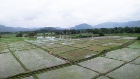 Land for sale in Nong Yaeng, Chiang Mai