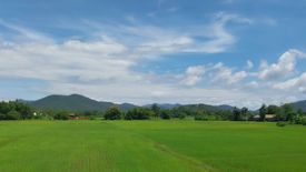 Land for sale in Nong Yaeng, Chiang Mai