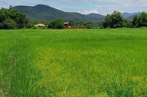 Land for sale in Nong Yaeng, Chiang Mai