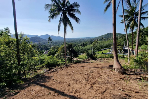 Land for sale in Bo Phut, Surat Thani