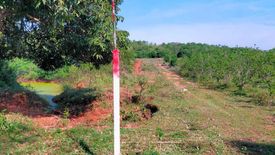 Land for sale in Khao Noi, Kanchanaburi