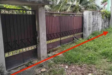 Land for sale in Bang Phut, Nonthaburi