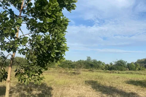 Land for sale in Makham, Chanthaburi