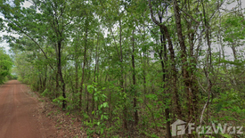 Land for sale in Chiang Khruea, Sakon Nakhon