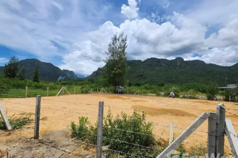 Land for sale in Sam Roi Yot, Prachuap Khiri Khan