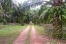 Land for sale in Bang Wan, Phang Nga