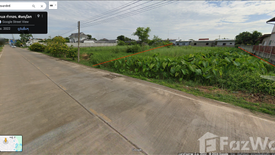 Land for sale in Tha Thong, Phitsanulok