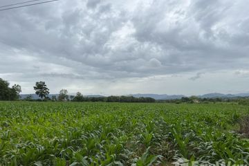 Land for sale in Pak Chong, Nakhon Ratchasima