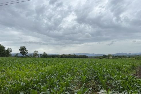 Land for sale in Pak Chong, Nakhon Ratchasima