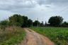 Land for sale in Pak Chong, Nakhon Ratchasima