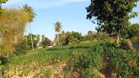 Land for sale in Nong Pla Lai, Chonburi