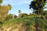 Land for sale in Nong Pla Lai, Chonburi
