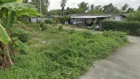 Land for sale in Mai Khao, Phuket