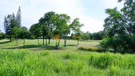 Land for sale in Huai Yai, Chonburi