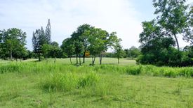 Land for sale in Huai Yai, Chonburi