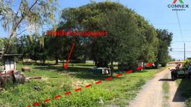 1 Bedroom Land for sale in Bo Nok, Prachuap Khiri Khan