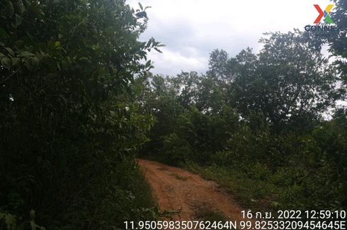 1 Bedroom Land for sale in Bo Nok, Prachuap Khiri Khan