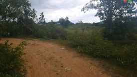 1 Bedroom Land for sale in Bo Nok, Prachuap Khiri Khan