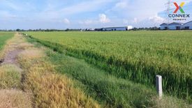 1 Bedroom Land for sale in Rat Niyom, Nonthaburi