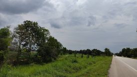 Land for sale in Huai Chot, Sa Kaeo