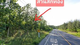 Land for sale in Rang Sali, Kanchanaburi