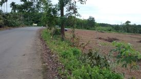 Land for sale in Wang Krachae, Trat