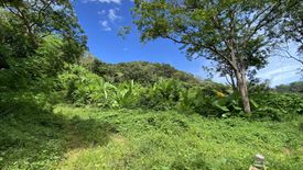 Land for sale in Karon, Phuket