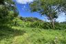Land for sale in Karon, Phuket