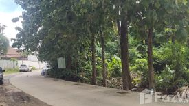 Land for sale in Choeng Thale, Phuket