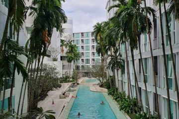 1 Bedroom Condo for rent in THE BASE Downtown - Phuket, Wichit, Phuket