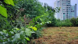 Land for sale in Nong Prue, Chonburi