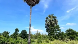 Land for sale in Sam Roi Yot, Prachuap Khiri Khan