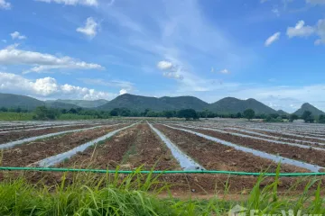 Land for sale in Wang Dong, Kanchanaburi