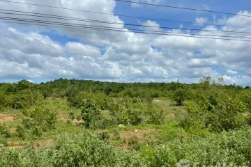 Land for sale in Nong Kum, Kanchanaburi